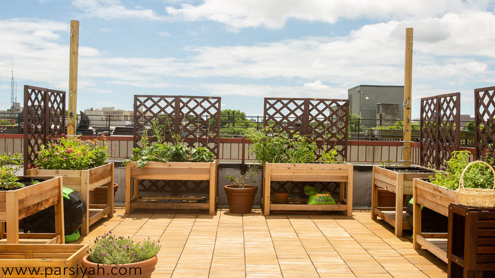 Vegetation suitable for roof garden